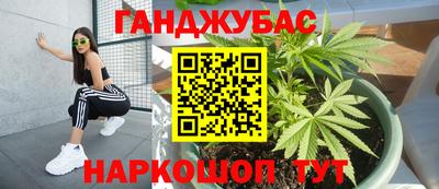 эйфоретик Нальчик